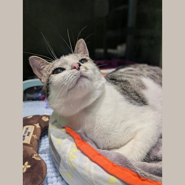 Photo of Bonnie