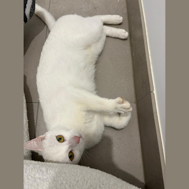 Photo of Yuki