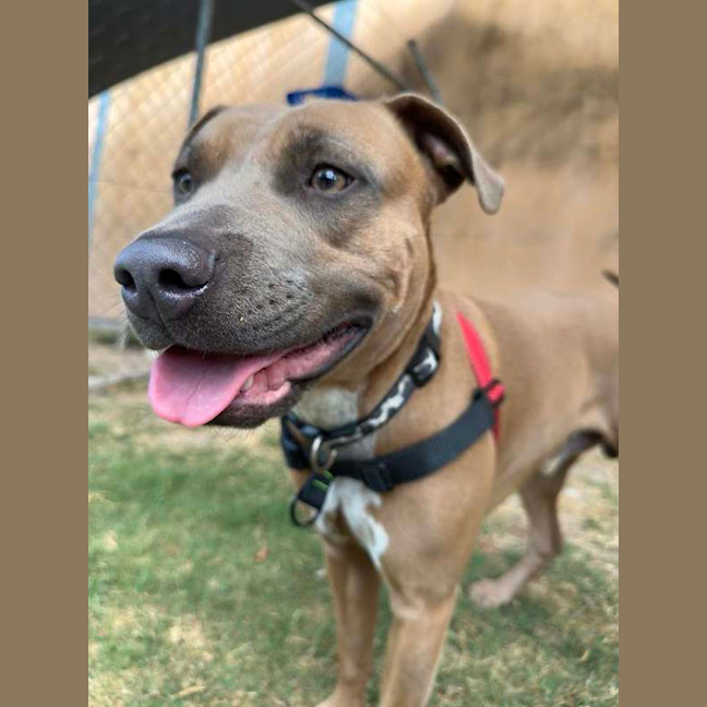 Photo of Turbo