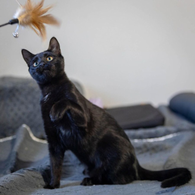 Photo of Schwartz & Aella