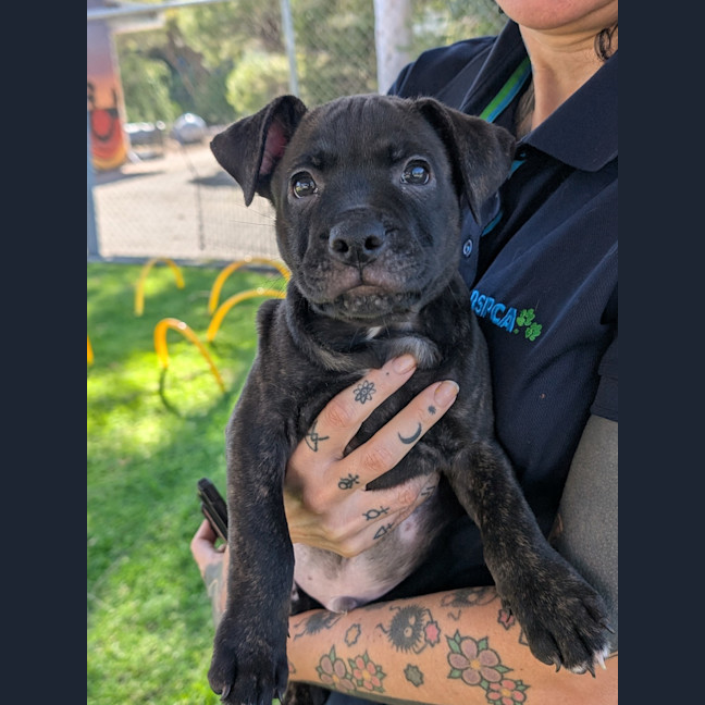 Photo of Zeus