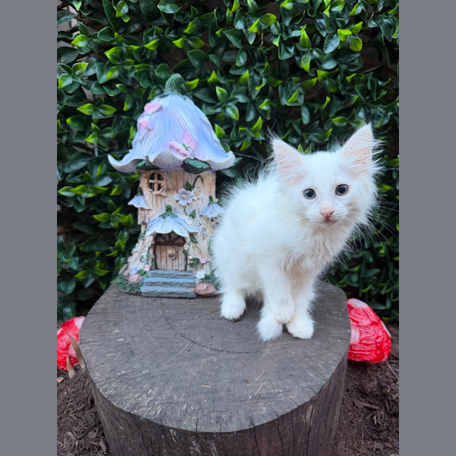 Photo of Avery