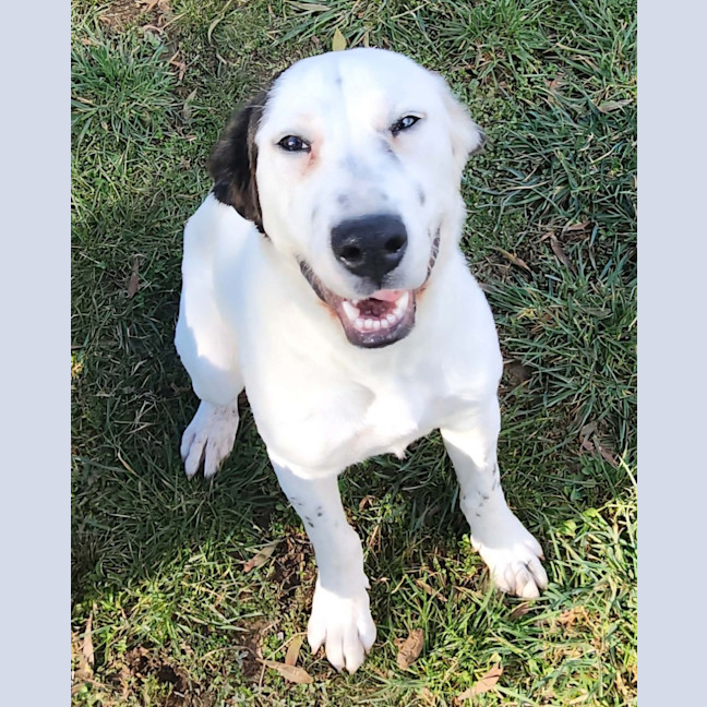 Photo of Dora