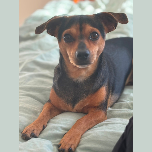 Photo of Bonded Pair 