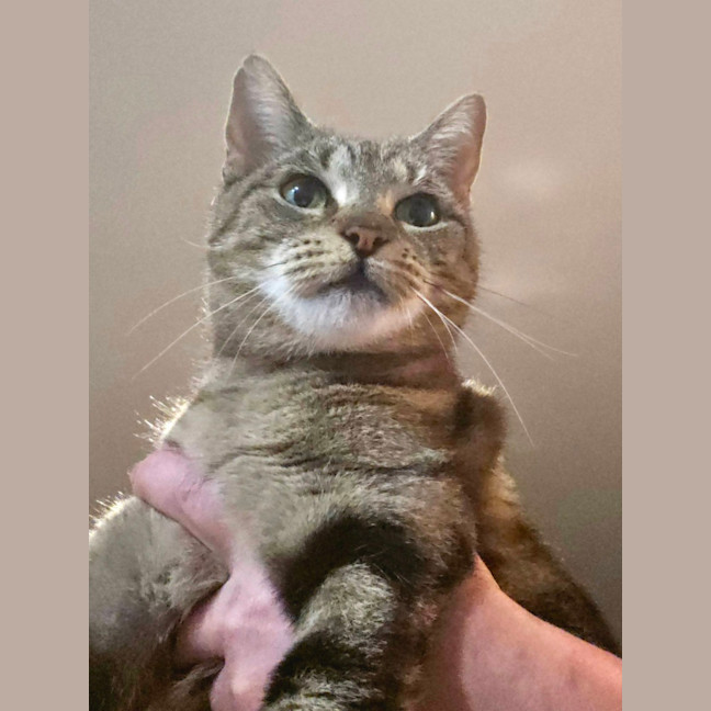 Photo of $100 Xena
