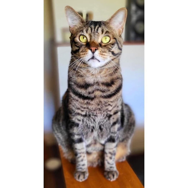 Photo of 2471   Minnie