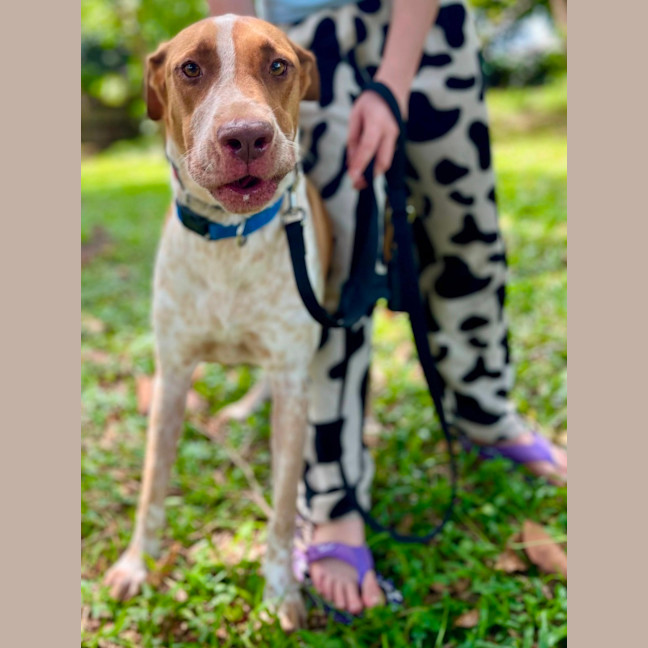 Photo of Duke