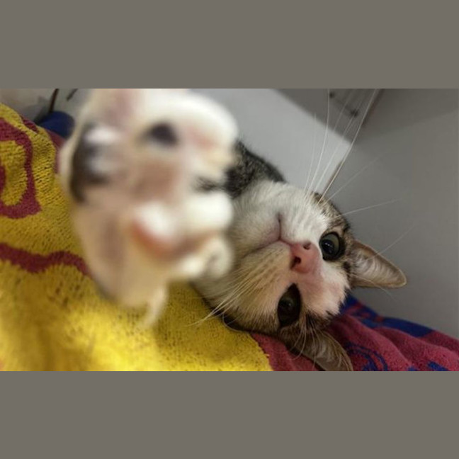 Photo of Anya