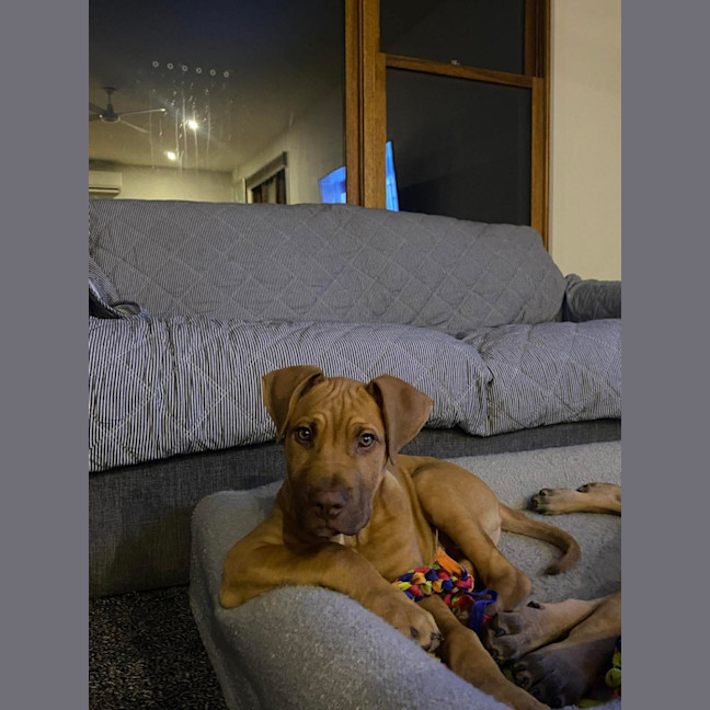 Photo of Leroy