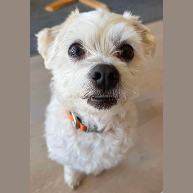 Photo of Max