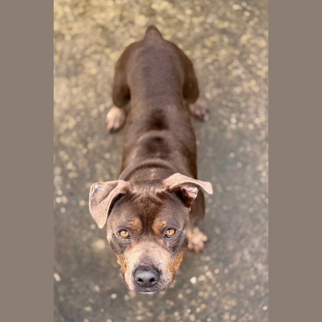 Photo of Bud