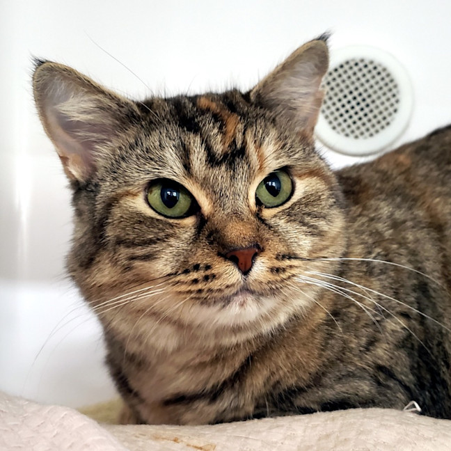 Photo of Angel Sta013324