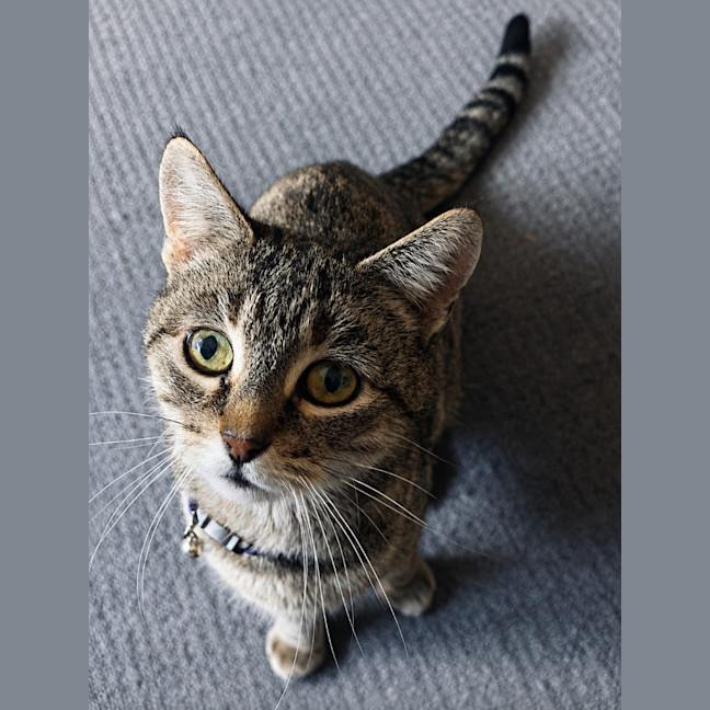 Photo of Mia