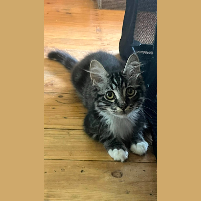 Photo of Rocky