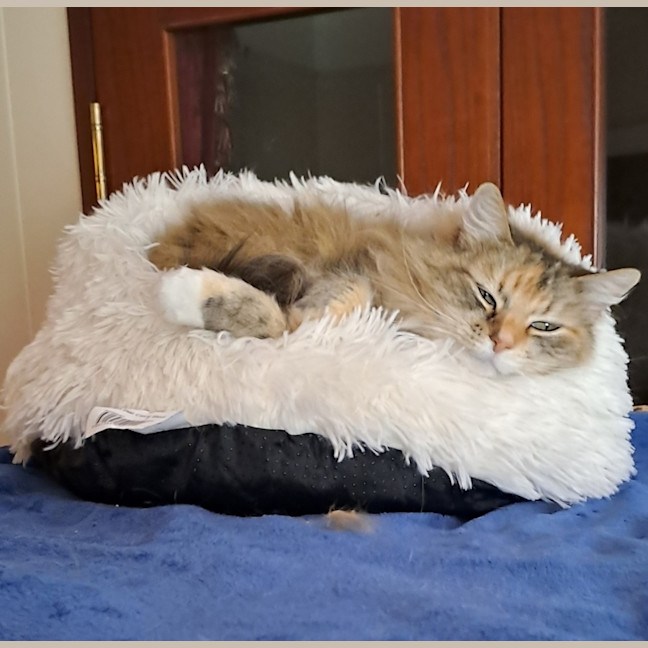 Photo of Hannah