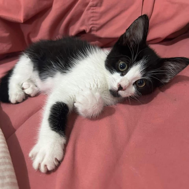 Photo of 11947   Ridoc