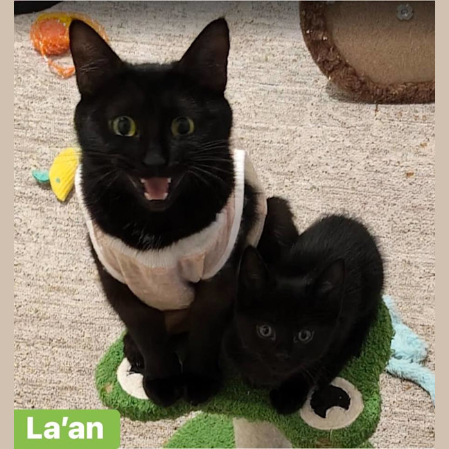 Photo of La'an