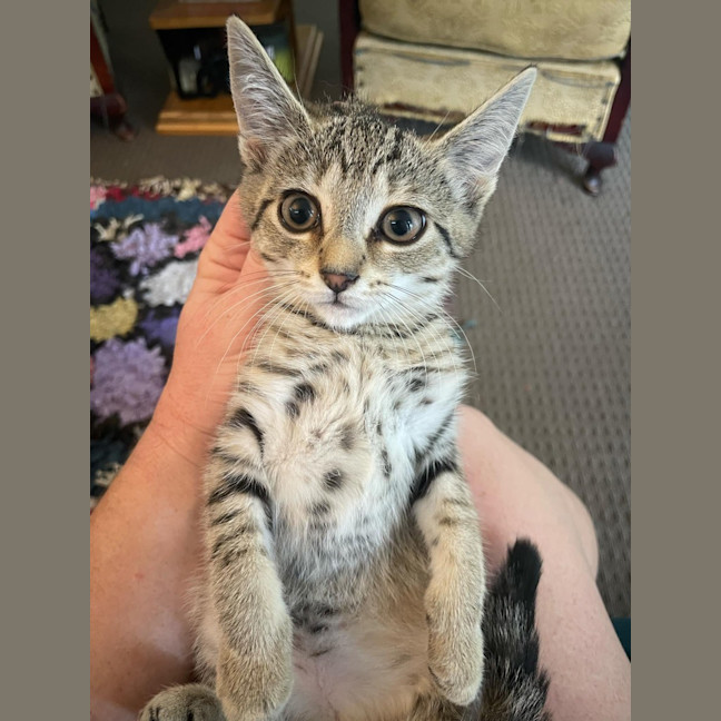 Photo of Evie