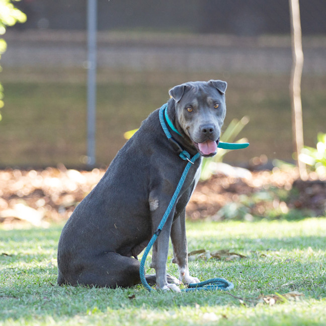 Photo of Narla