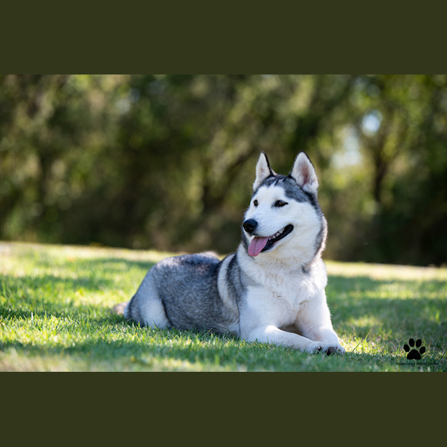 Photo of Crystal