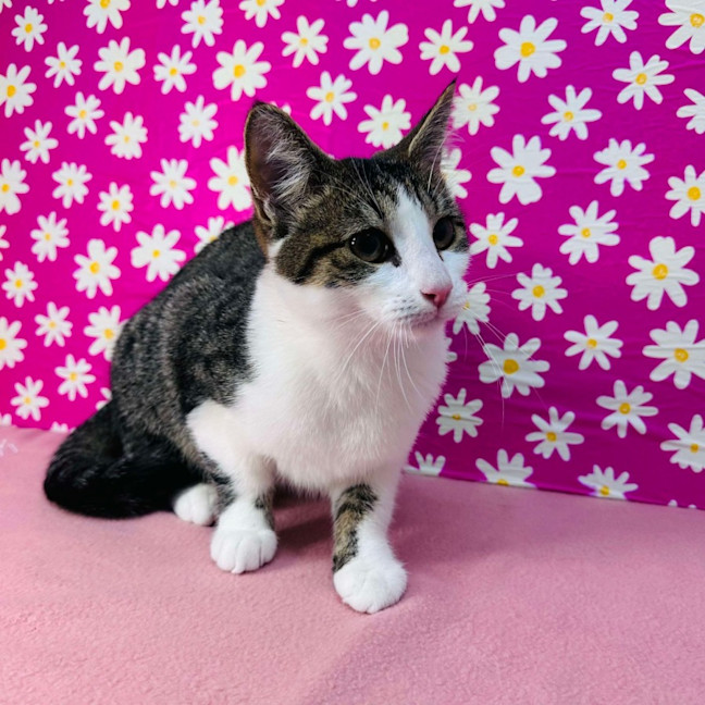 Photo of Jemma   Located In Brunswick East