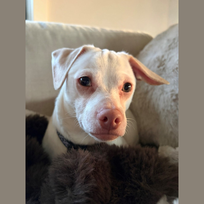 Photo of Woody