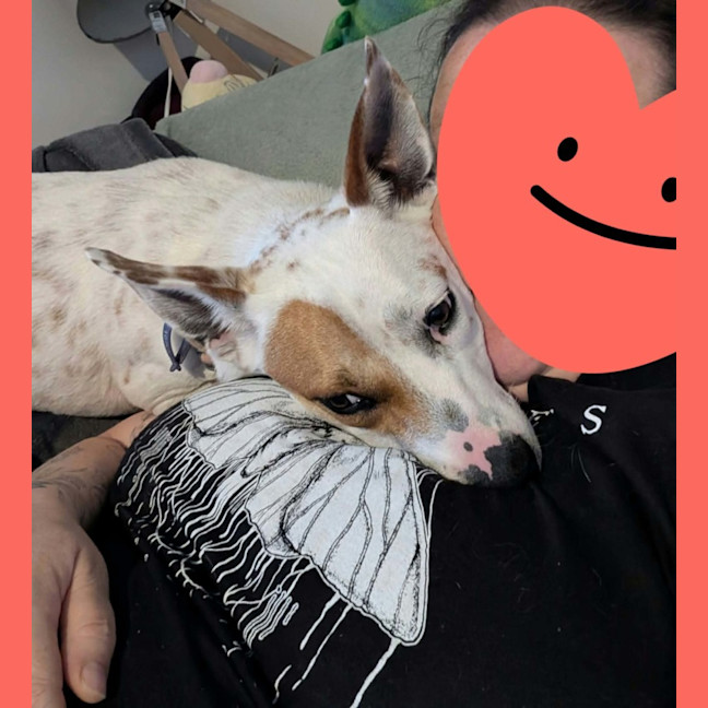 Photo of Tinks