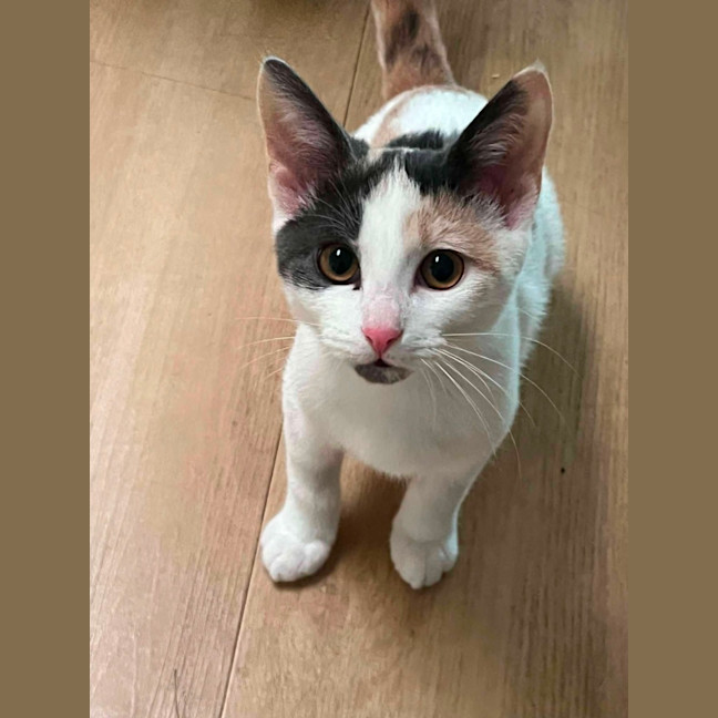 Photo of Vivian 