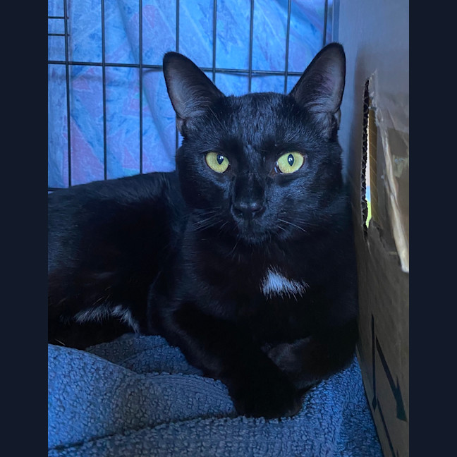 Photo of Vinnie