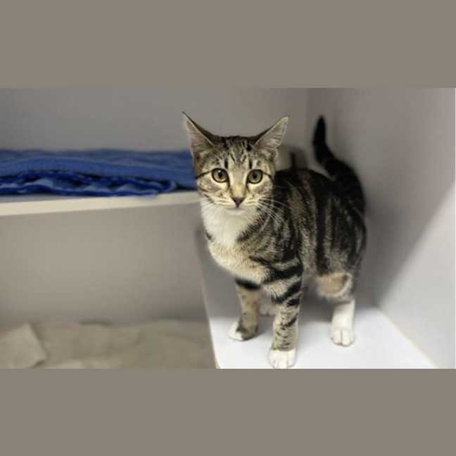 Photo of Kiki