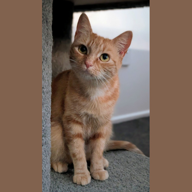 Photo of Annie