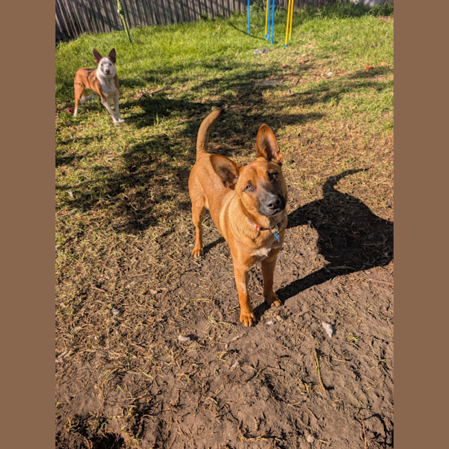 Photo of Huey