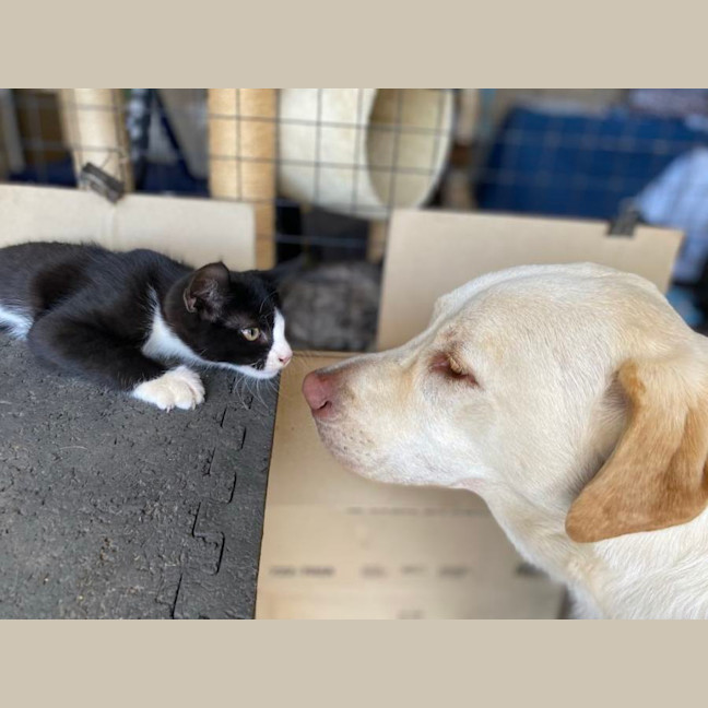 Photo of Edwina & Trixie