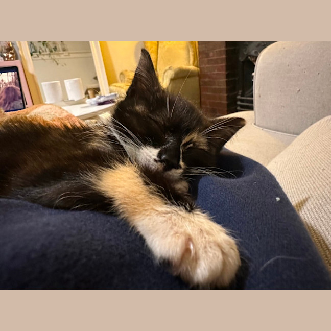 Photo of Minnie