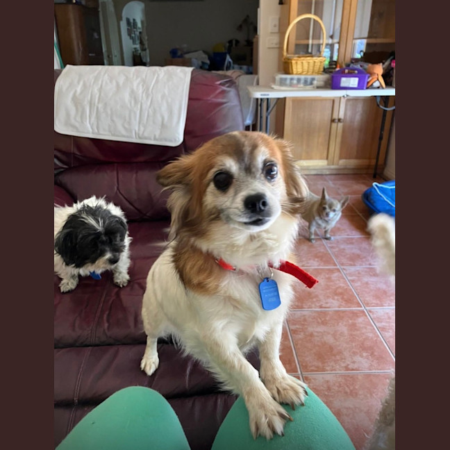 Photo of Missy And May