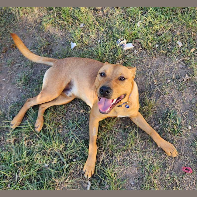 Photo of Buster