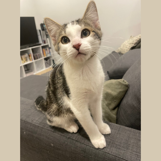 Photo of Gnocchi 🥔