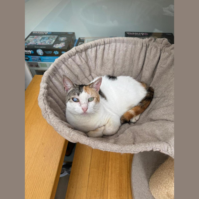 Photo of Molly