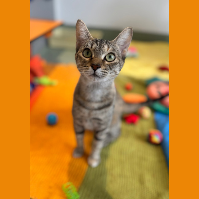 Photo of Lily