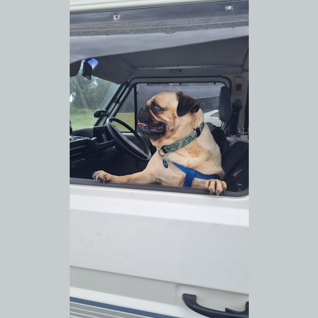 Photo of Doug