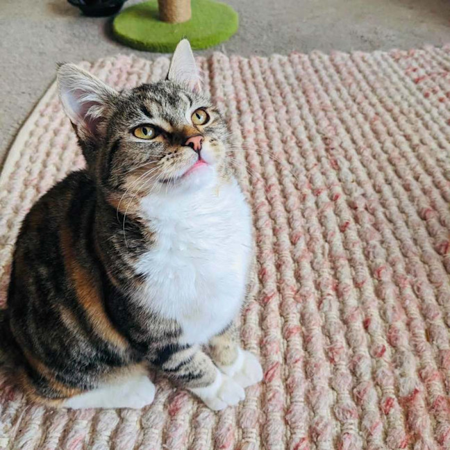 Photo of Worm   In Foster Care In Thornbury