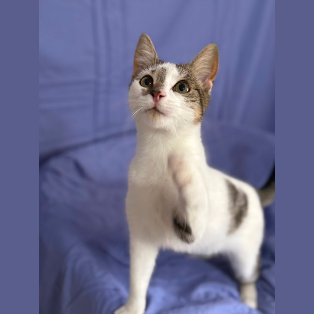 Photo of Richie 💙