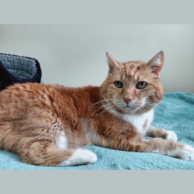 Photo of Richard Parker 