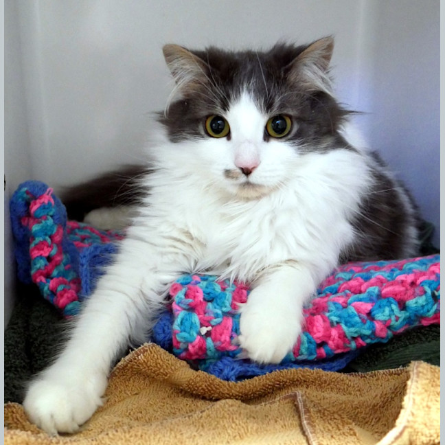 Photo of Lily Sta012784