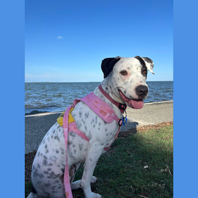 Photo of Matilda
