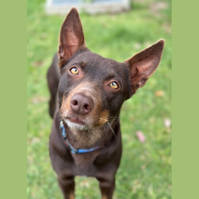 Photo of Billie Jean