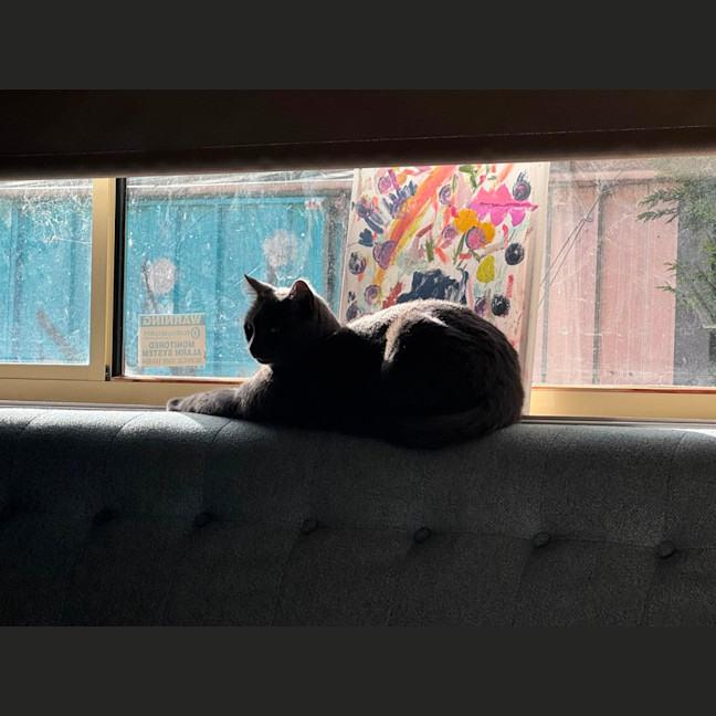 Photo of Luna