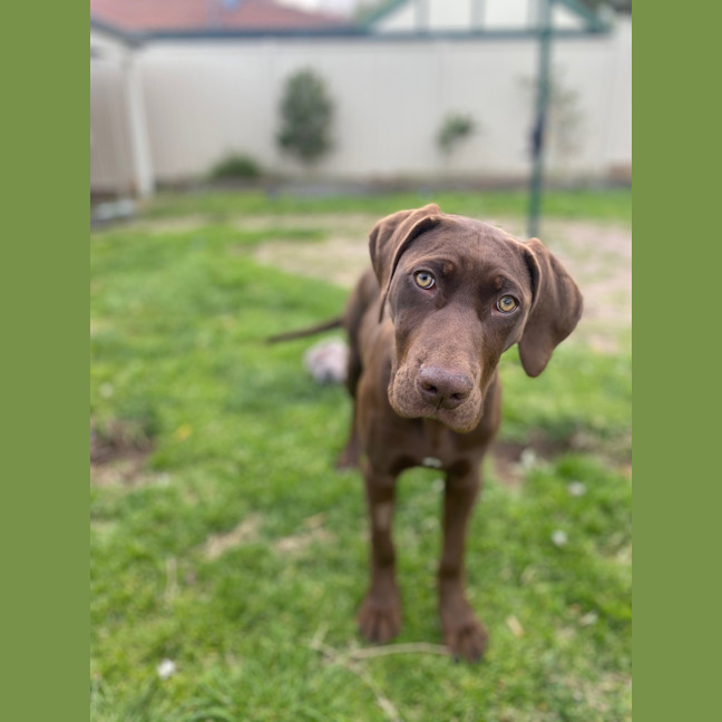 Photo of Gia