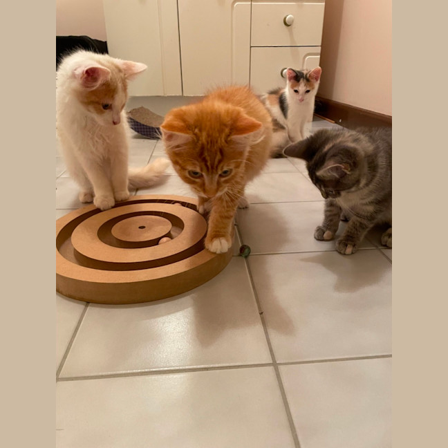 Photo of Tobias 💙