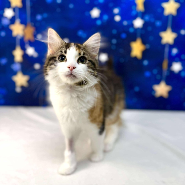 Photo of Florence   Located In Preston